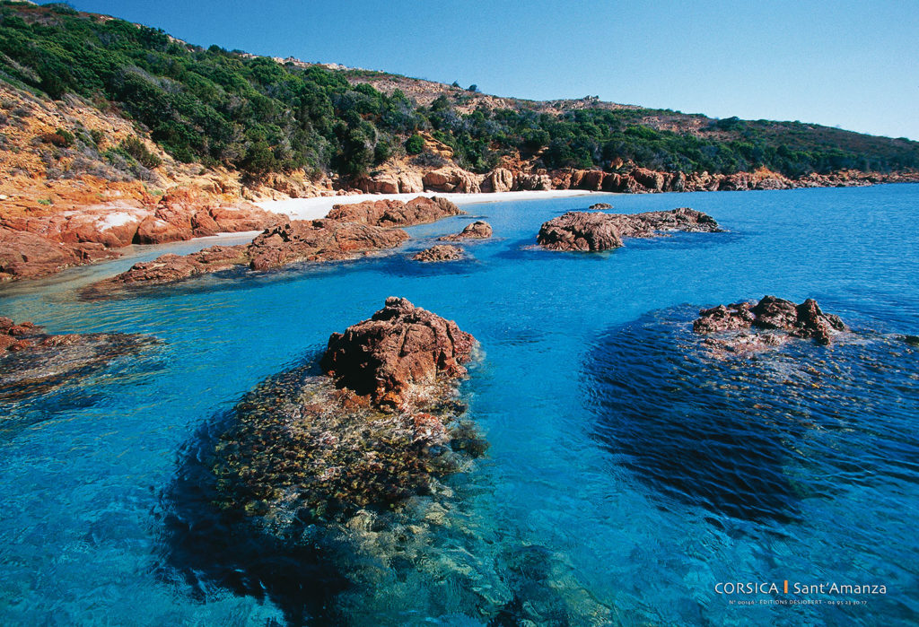 Boutique Souvenir de Corse